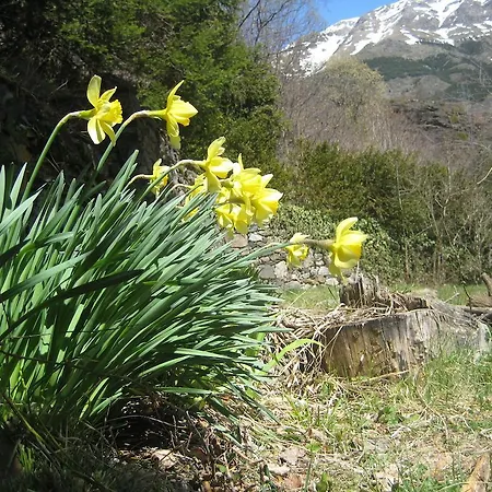 Refugi Casa Tacita Hostel *